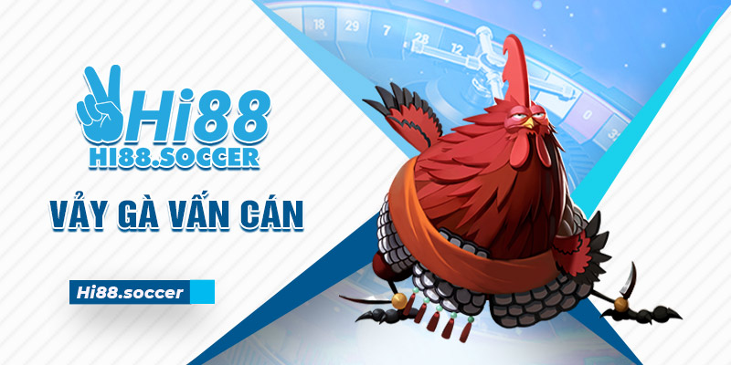 Vảy Gà Vấn Cán - Đặc Điểm Vảy Gà Độc Và Hiếm Nhất 2024 6 vảy gà vấn cán