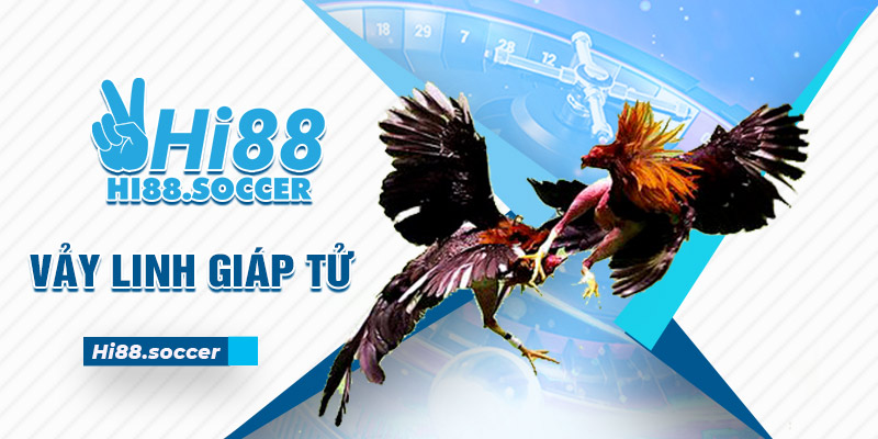 Vảy Linh Giáp Tử - 3 Tiêu Chí Đánh Giá Sức Mạnh Gà Chiến 5 vảy linh giáp tử